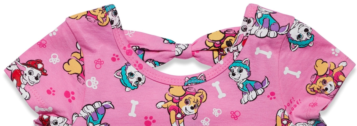 Paw Patrol Skye Marshall Everest Girls Skater Dress Toddler to Big Kid