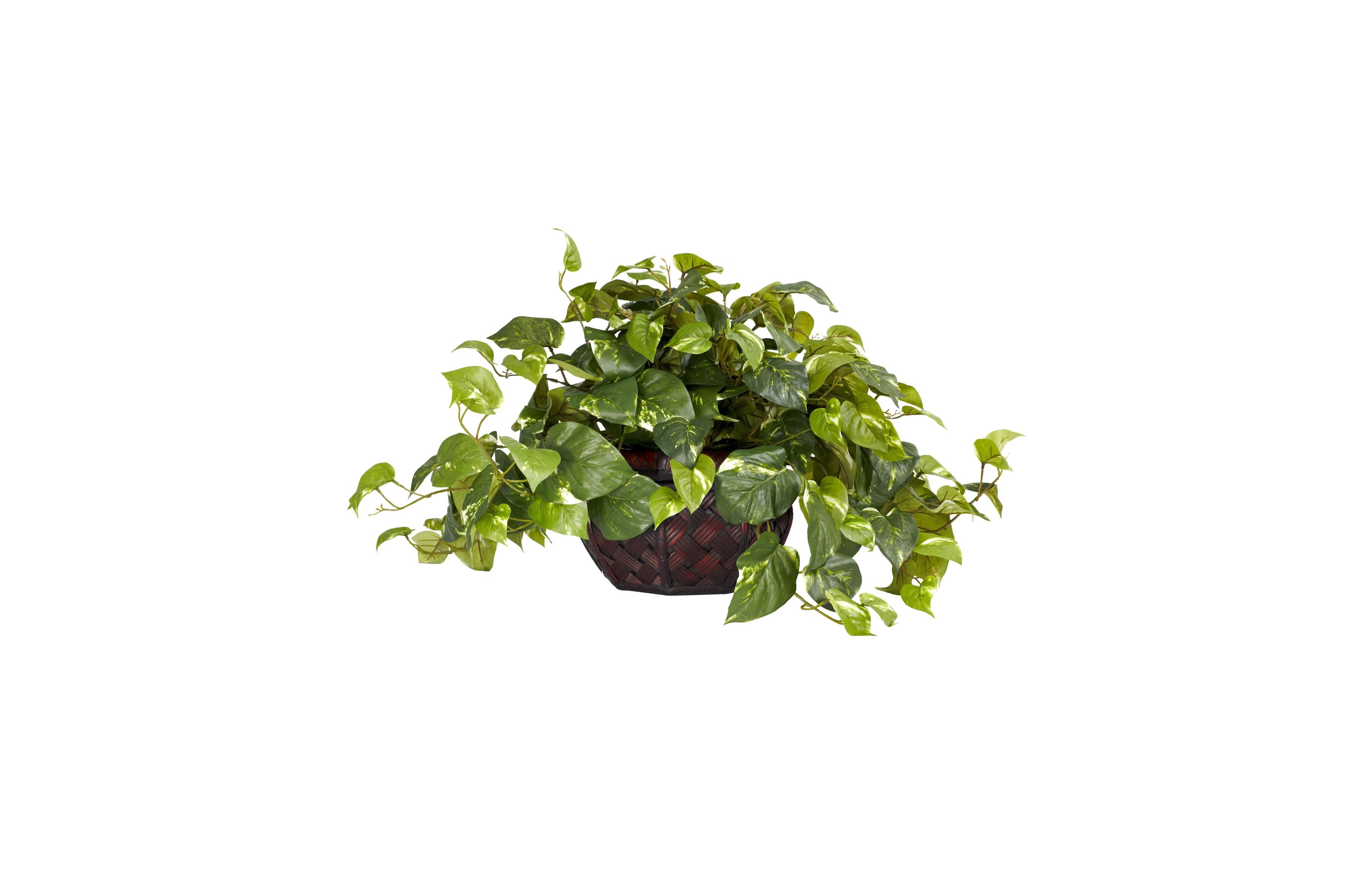 Slickblue Indoor Pothos Plant with Stylish Decorative Planter for Home Decor
