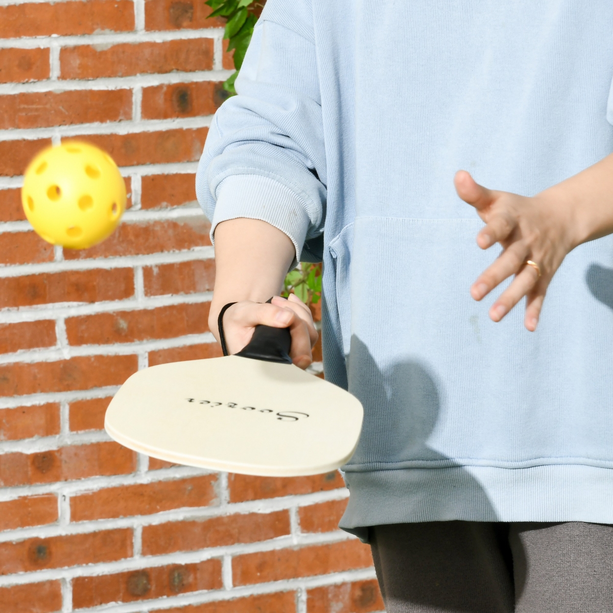 Streamdale Furniture Pickleball Starter Kit with Portable Net and Equipment