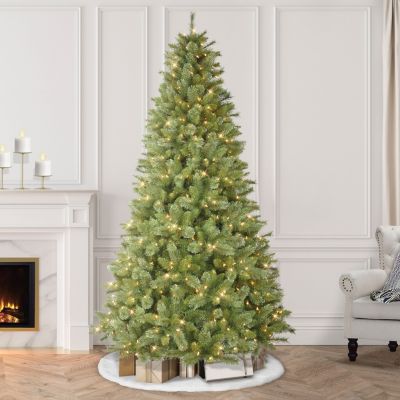 7.5-ft. Canterbury Fir Tree with 500 Clear Lights & Stand