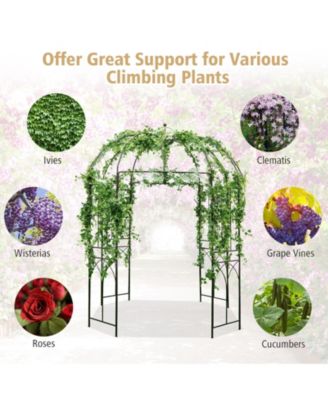 8.4 x 7 Feet Wide Birdcage Shape Garden Arbor