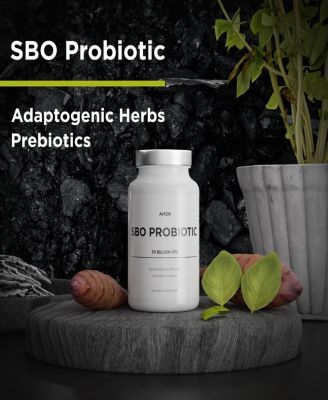 Probiotics Supplement, SBO Probiotic and Organic Prebiotics, 50 Billion CFUs, Flora Daily Probiotic Formula for Women & Men, 60 Capsules