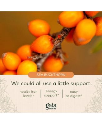 Plant Force Liquid Iron - Vegetarian Iron Supplement to Help Maintain Healthy Iron & Energy Levels - With Star Anise, Sea Buckthorn, Beet Root, Dandelion & Nettle - 8.5 Fl Oz (25 Servings)