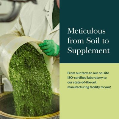 SleepThru – Sleep support with Ashwagandha, Magnolia, Passionflower & Jujube. 60 capsules (30-day supply).