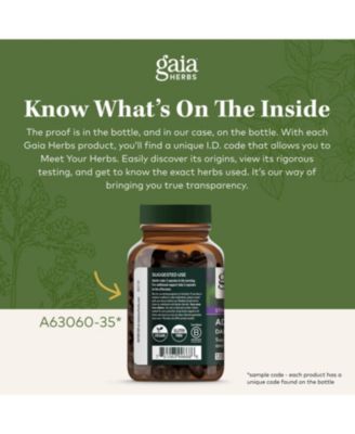 Kava Root - Helps Sustain a Sense of Natural Calm and Relaxation During Times of Stress - Made With Noble Kava Cultivars - 60 Liquid Phyto-Capsules (20-Day Supply)