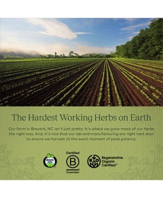 Oil of Oregano - Immune and Antioxidant Support Supplement to Help Sustain Overall Well-Being - With Oregano Oil, Carvacrol, and Thymol - 60 Liquid Phyto-Capsules (30-Day Supply)