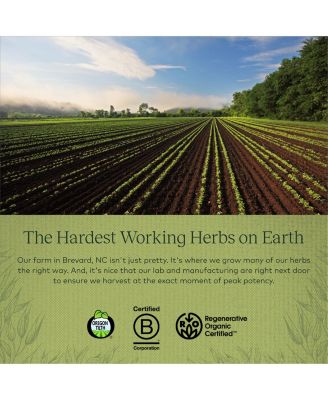 Emotional Balance - Stress Support Supplement to Help the Body Cope with Stress - With St. John s Wort, Passionflower, Vervain, and Oats - 60 Liquid Phyto-Capsules (20-Day Supply)