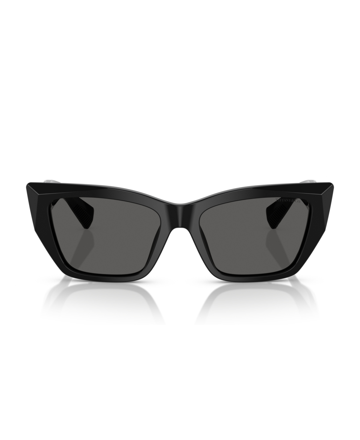 Tiffany & Co Full Frame Sunglasses In Black