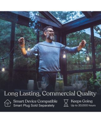 Ambience Pro 24 ft. Indoor/Outdoor LED Weatherproof 2-Watt String Lights with Warm White Hue