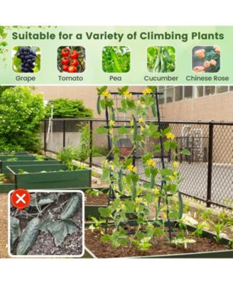 74 Inch Tall Garden Trellis for Flower Vine Vegetable Fruit Pea