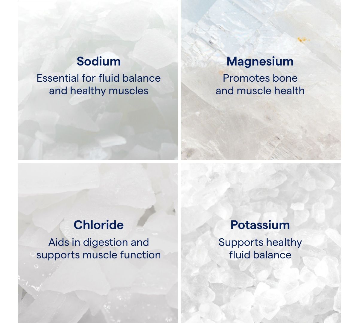 Imagen de producto 2