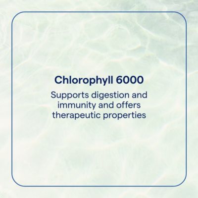 Ionic Chlorophyll – Supports Natural Cleanse, Immune & Digestive Health – Mint Flavor, 2 fl oz (120 Servings)