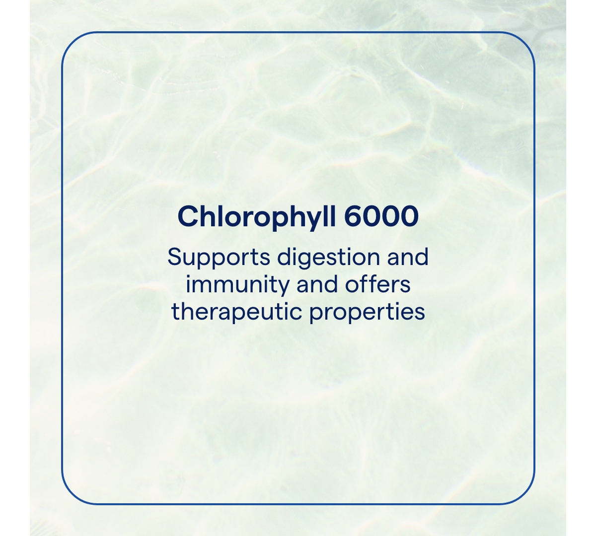 Trace Minerals Concentrated Ionic Chlorophyll | Supports & Immune Function | Antioxidant | Supports Blood & Energy | Mint Flavored | 2.0oz 6,000mg/bot