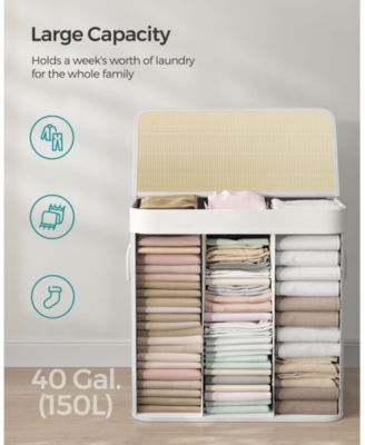 3-Section Laundry Hamper with Lid