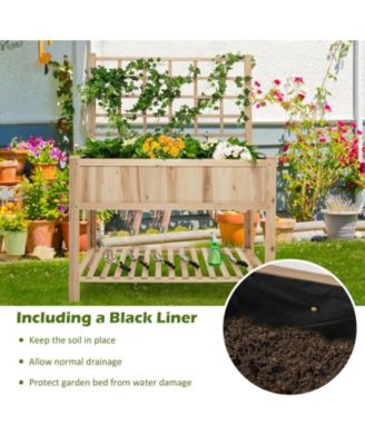 Raised Garden Bed Elevated Wooden Planter Box with Trellis