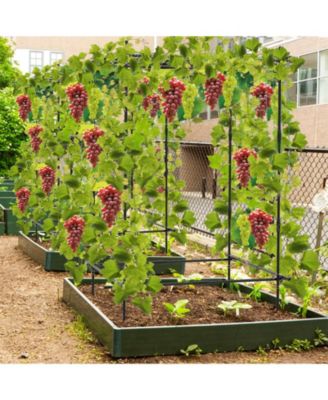 A-Frame Garden Cucumber Trellis with Netting for Outdoor Climbing Plants