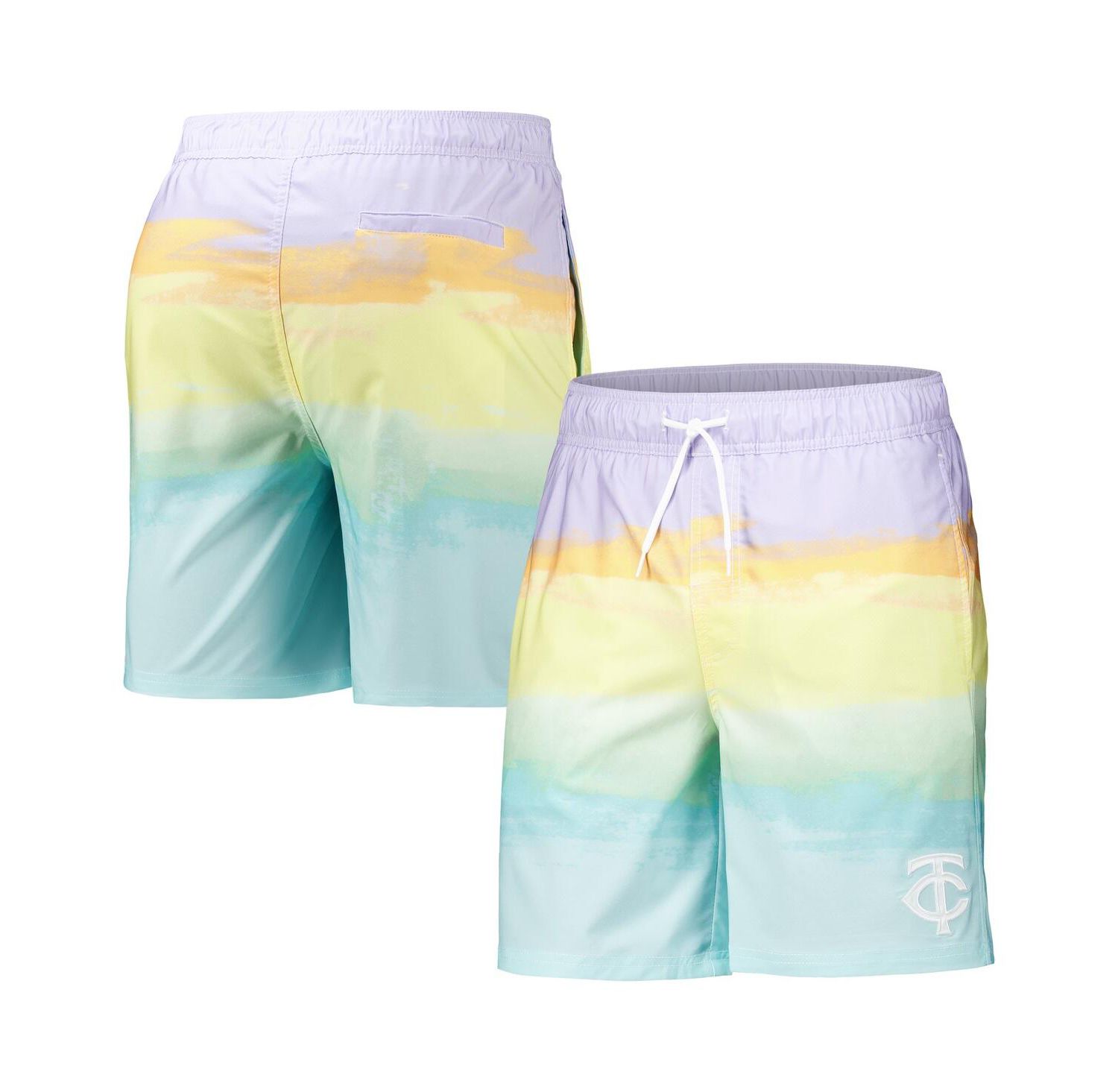 Men's Minnesota Twins Perfect Game Volley Board Shorts
