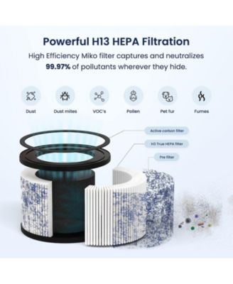True Hepa Air Filter Replacement - Ibuki, Ibuki +