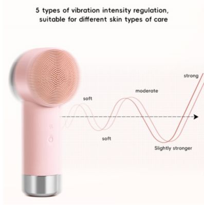 2 In 1 Warm Facial Cleansing Brush