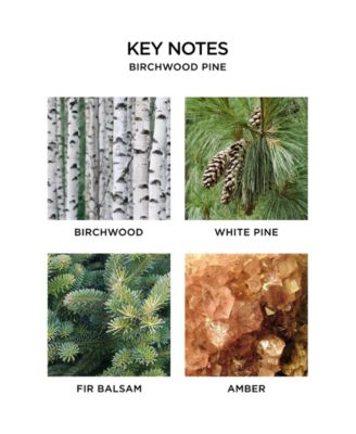 2-Pc. Birchwood Pine Wall Diffuser Set