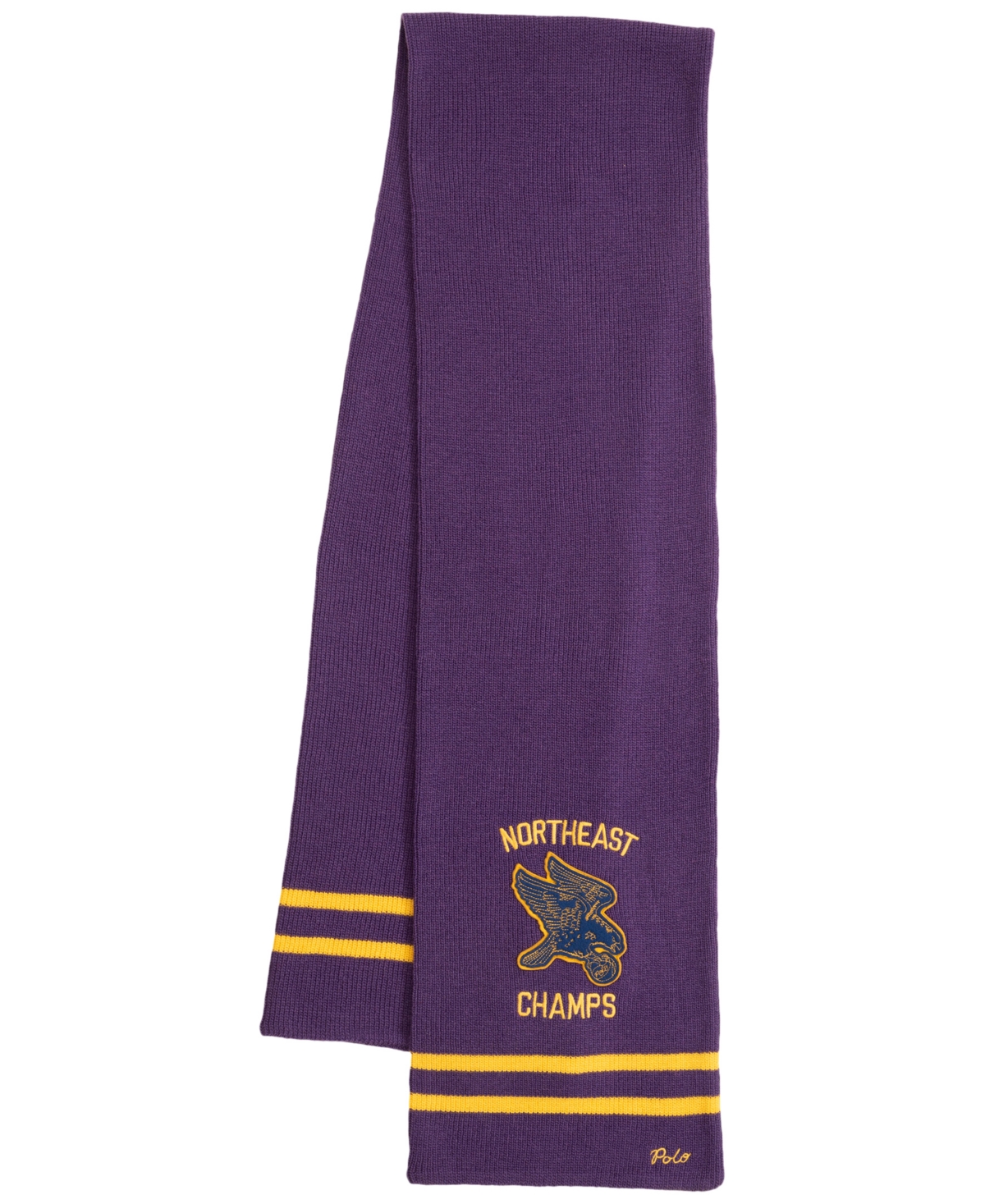 Polo Ralph Lauren Men's Polo Ball Team Scarf In Cabana