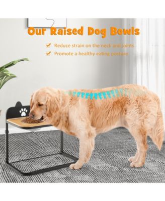 Dog Bowl Stand with 2 Stainless Steel Food Water Bowls