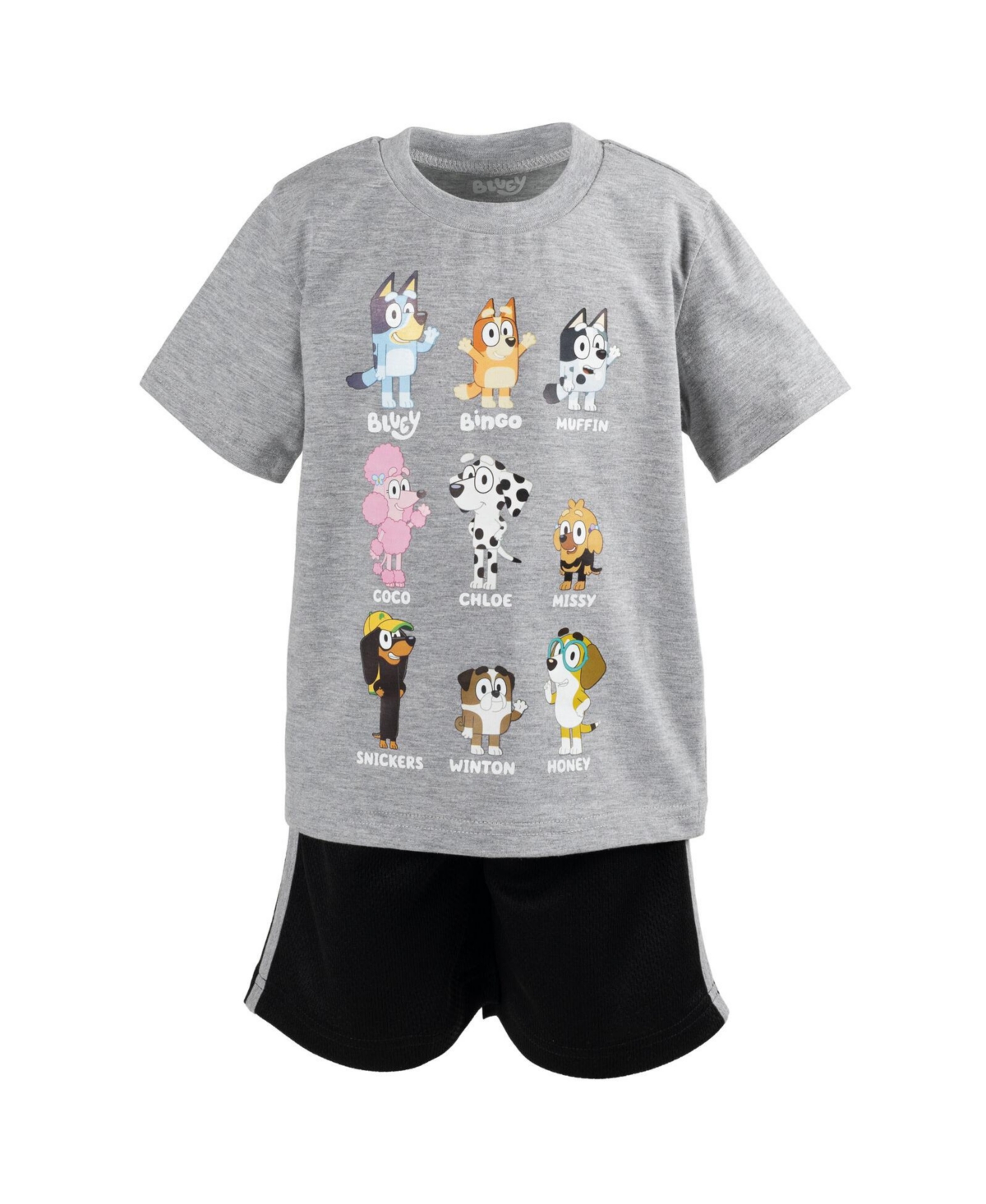 Bluey Toddler Boys Bingo T-Shirt and Mesh Shorts Outfit Set to -/ grey