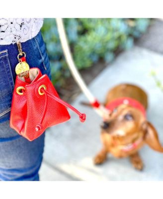 Pet Dog Treat Bag - Melting Hearts
