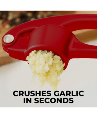 Stainless Steel Garlic Press – Durable, Easy-Squeeze Handle, Garlic Masher