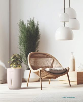 Warm Cool Mist Humidifier with Small Planter