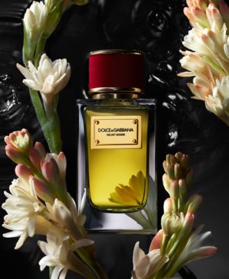 Dolce&Gabbana Velvet Desire Eau de Parfum, 3.3 oz. - Macy's