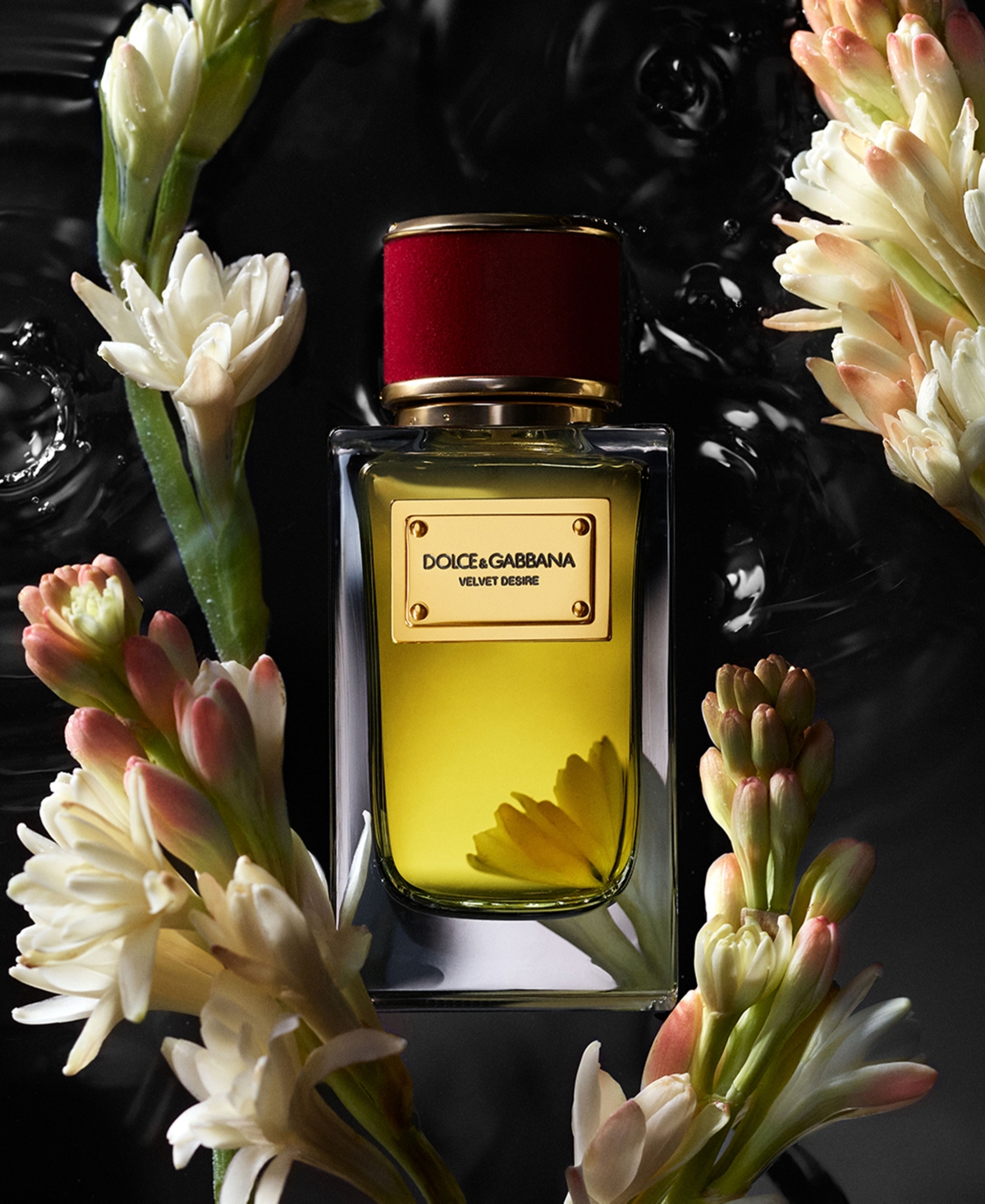 Dolce & Gabbana Velvet Desire Eau De Parfum, 3.3 Oz. In No Color