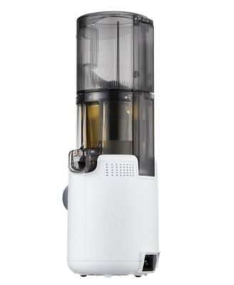 H310 Personal Easy Clean Slow Juicer