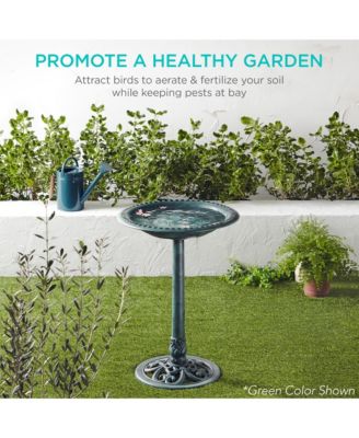 Outdoor Rustic Pedestal Bird Bath with Fleur-de-Lis Accents for Garden or Yard