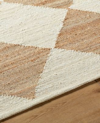 Antho VVAT-2300 5'x7'6" Area Rug