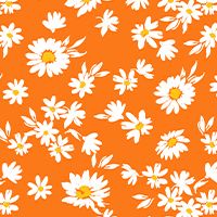 Women's Gemma Bottom