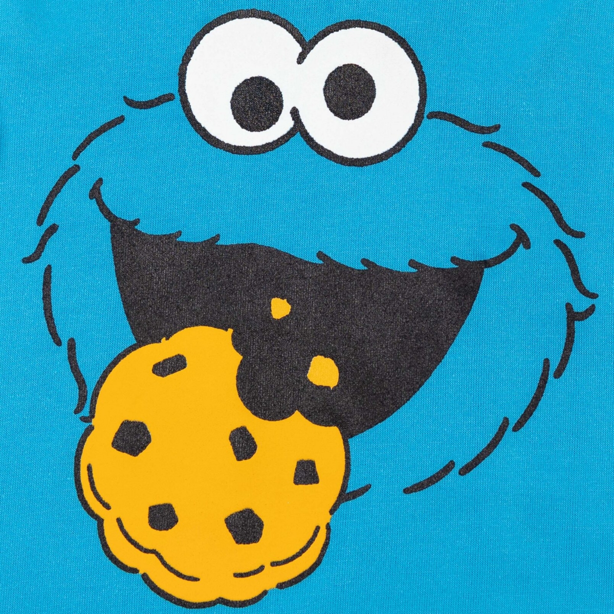 Sesame Street Baby Boys Abby Cadabby Elmo BirdOscar The Grouch Pullover Hoodie to - Cookie monster
