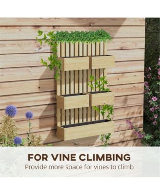 Garden/Balcony Plant Support – Durable and Stylish Trellis for Climbing Plants and Vines