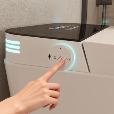 Smart Toilet With 110V High-Pulse Configuration Rapid Heating Antibacterial Seat Wireless Remote Control IPX4 Water Resistance