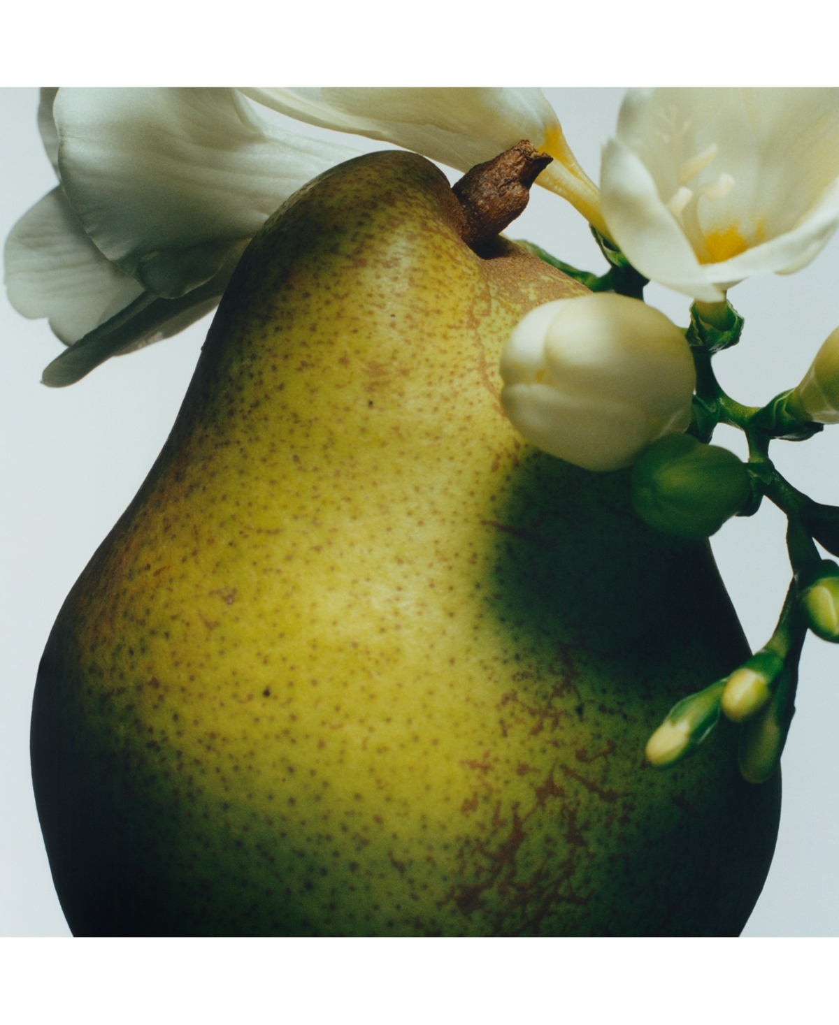 Jo Malone London Limited-Edition English Pear & Freesia Home Scented Candle, 7 oz