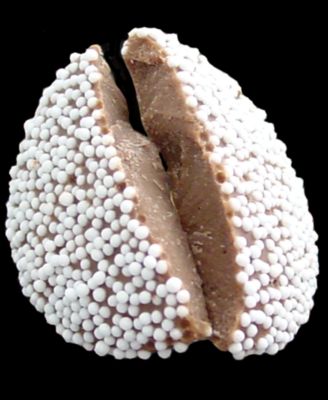 Milk Chocolate Non-Pariels, 2 Pack