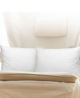 2-Pack Pillow Insert, 12" x 20"