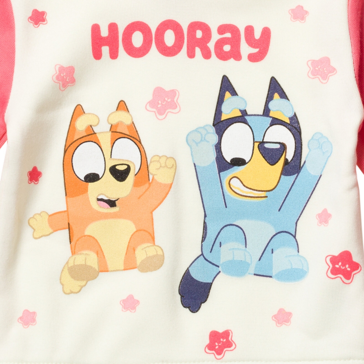 Bluey Toddler Girls Pullover Hoodie and Fleece Pants Outfit Set -/ white