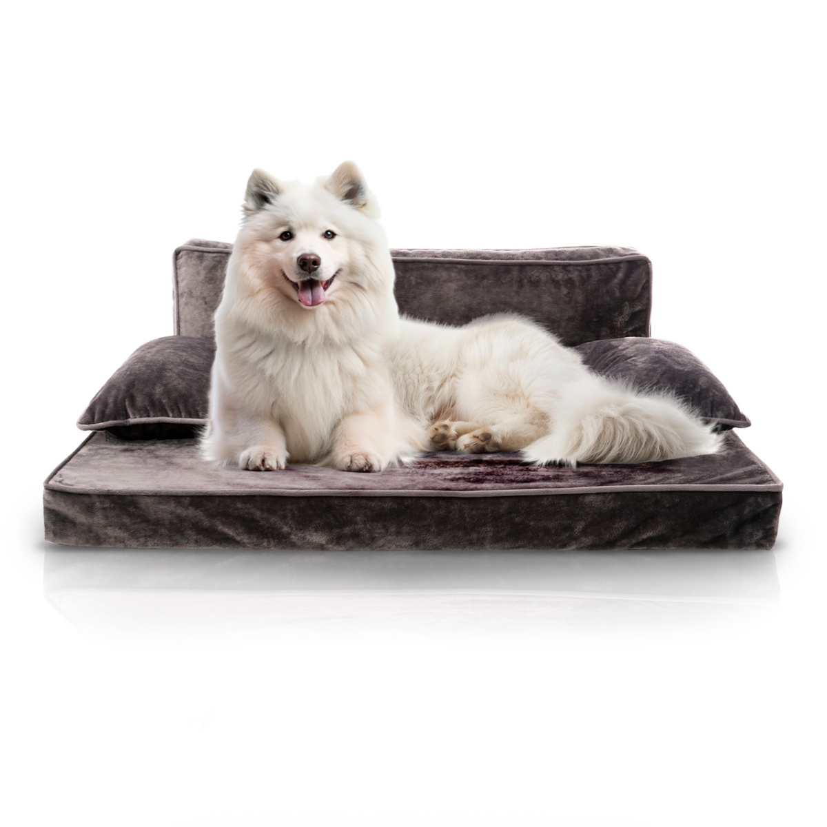 Orthopedic Pet Bed, Stylish Beds for Cats and Dogs, Modern Sofa Couch for Small-Medium Dog - Taupe