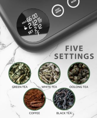 Digital Gooseneck Kettle with 5 Temperature Presets - Precision Heating Pouring for Perfect Brews