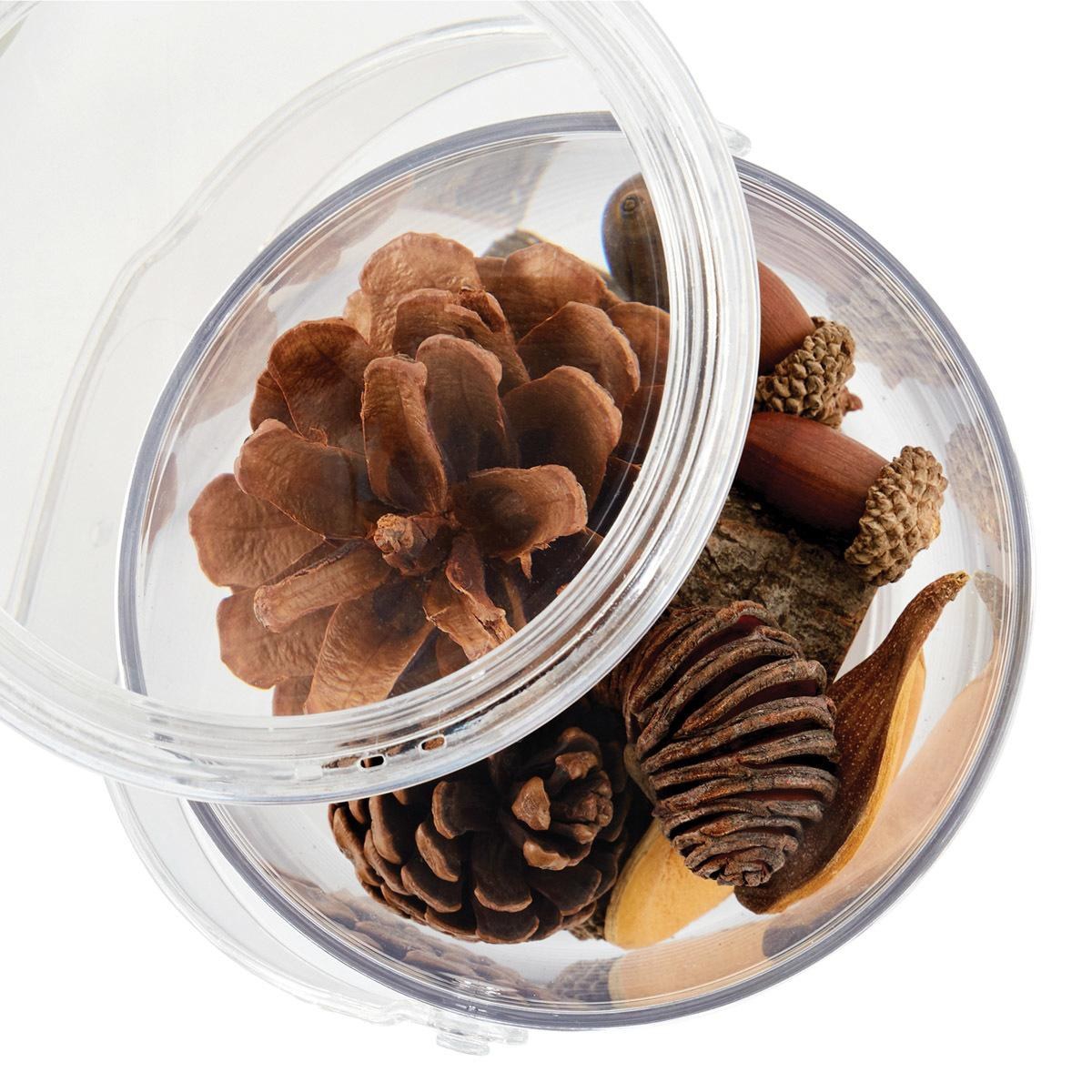 Kaplan Early Learning Carry and Discover Magnification Containers