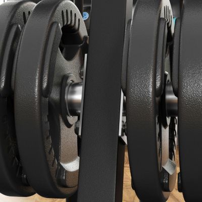 2-inch Weight Rack for Plates and 3 Bars, Olympic Weight Tree Bumper Plate Storage Holder, 660 lbs. Capacity, Black