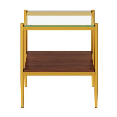 Modern Rectangle Glass End Table Set (2