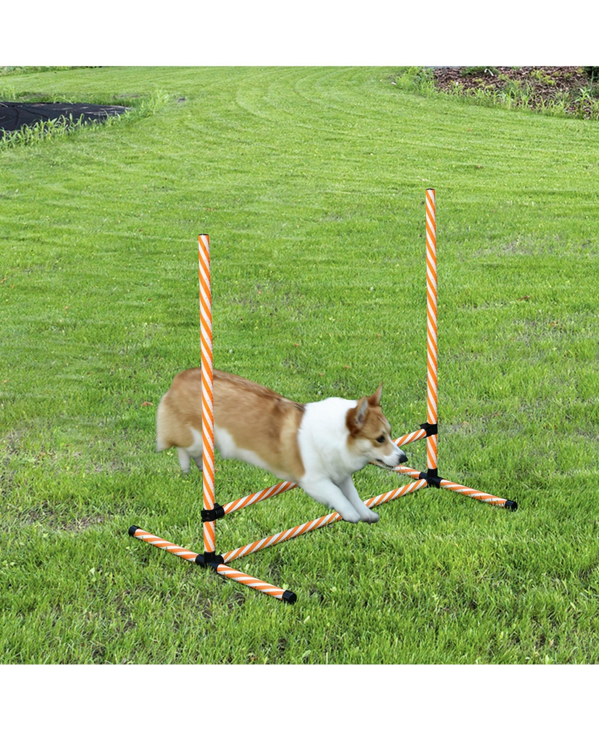 Streamdale Furniture 6 Piece Dog Agility Training Equipment with Hurdle Bag and Whistle,and White - Orange