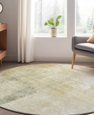Trevi Washable TV5 8'x8' Round Area Rug